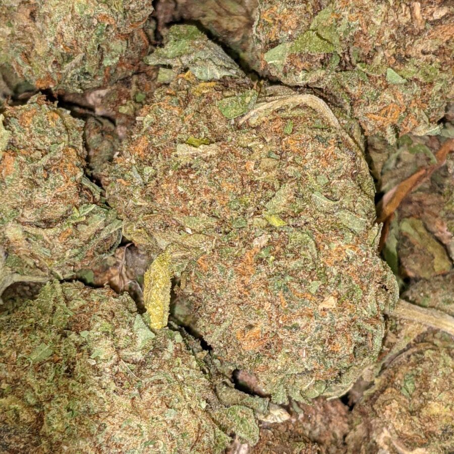 CHEAPWEED HYBRID 1 I Cheapweed Hybrid AA+