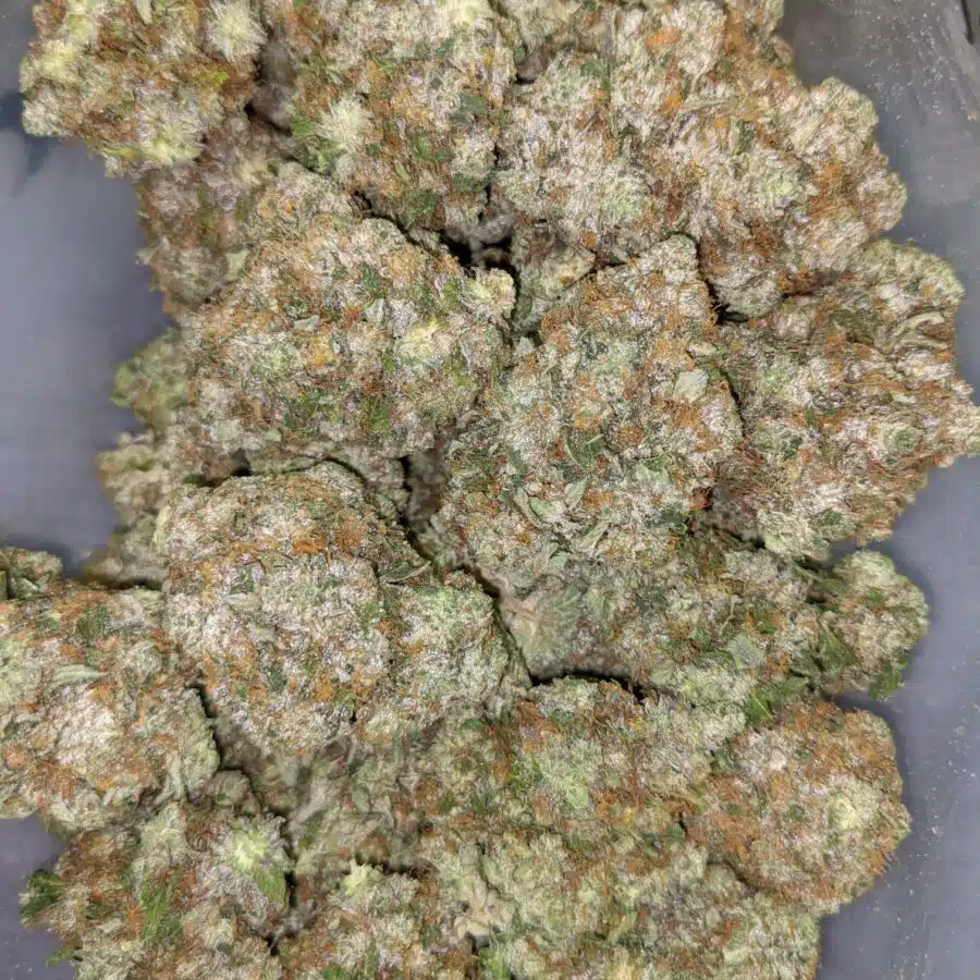COMATOSE 26.49 2 I $109 Oz - Comatose