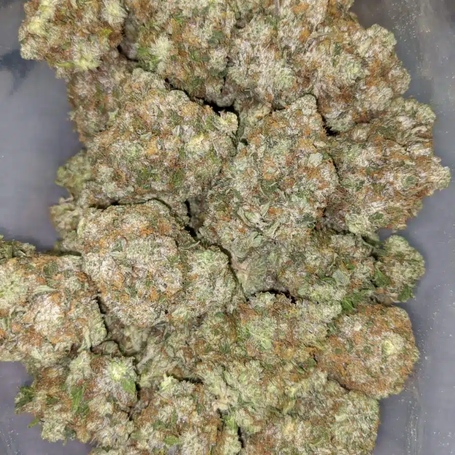 COMATOSE 26.49 3 I $109 Oz - Comatose