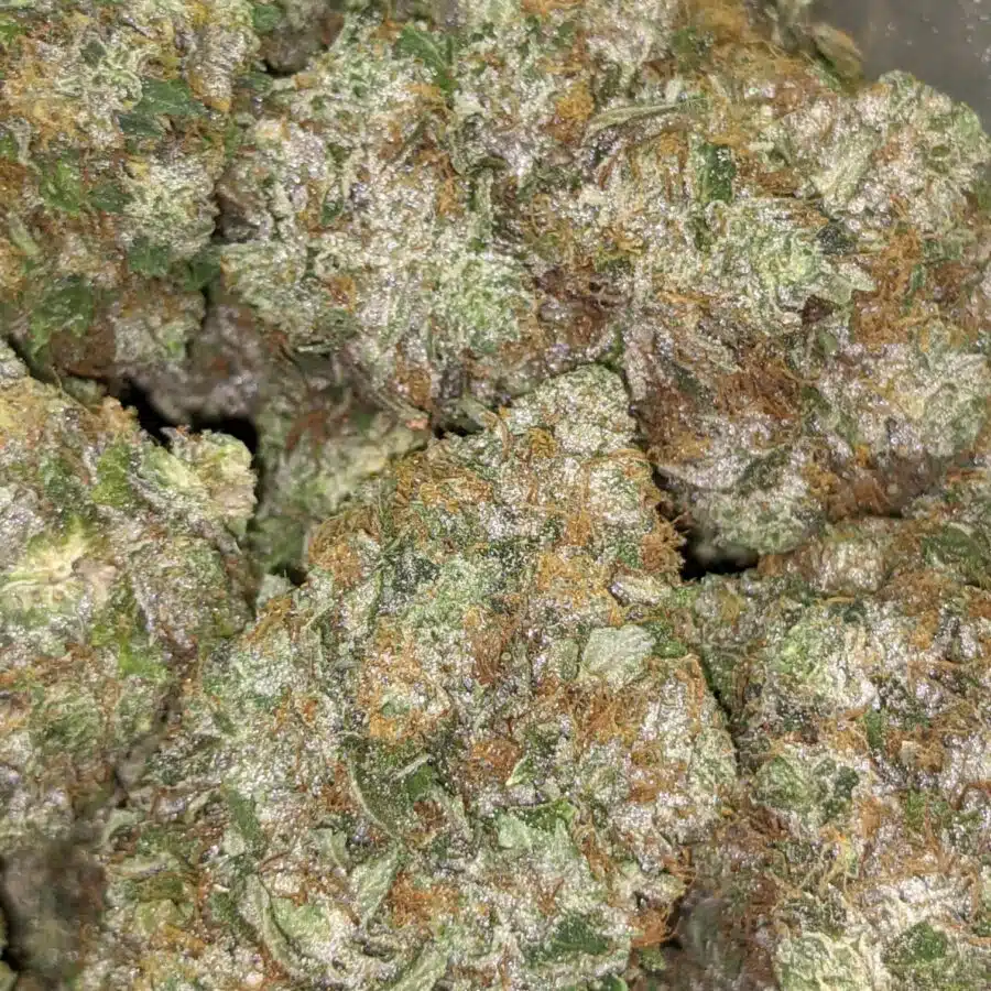 COMATOSE 26.49 4 I $109 Oz - Comatose