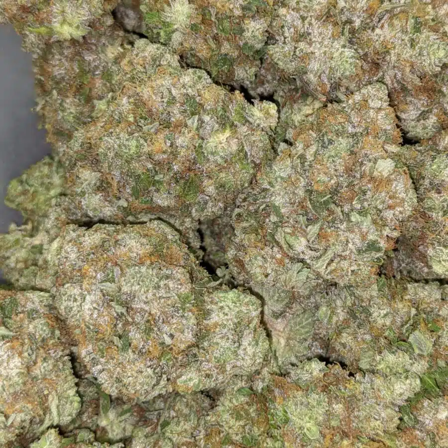 COMATOSE 26.49 5 I $109 Oz - Comatose