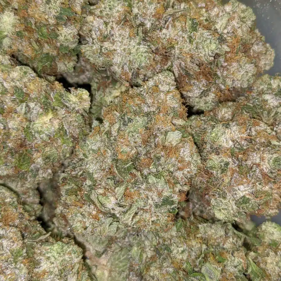 COMATOSE 26.49 6 I $109 Oz - Comatose