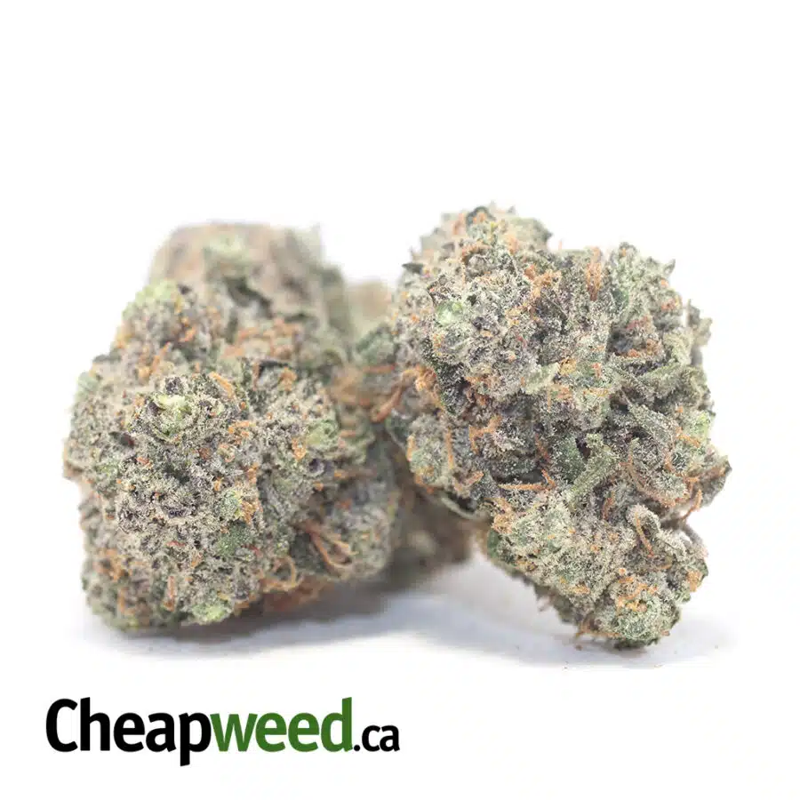 Alternative view of $79 Oz - California Dream
