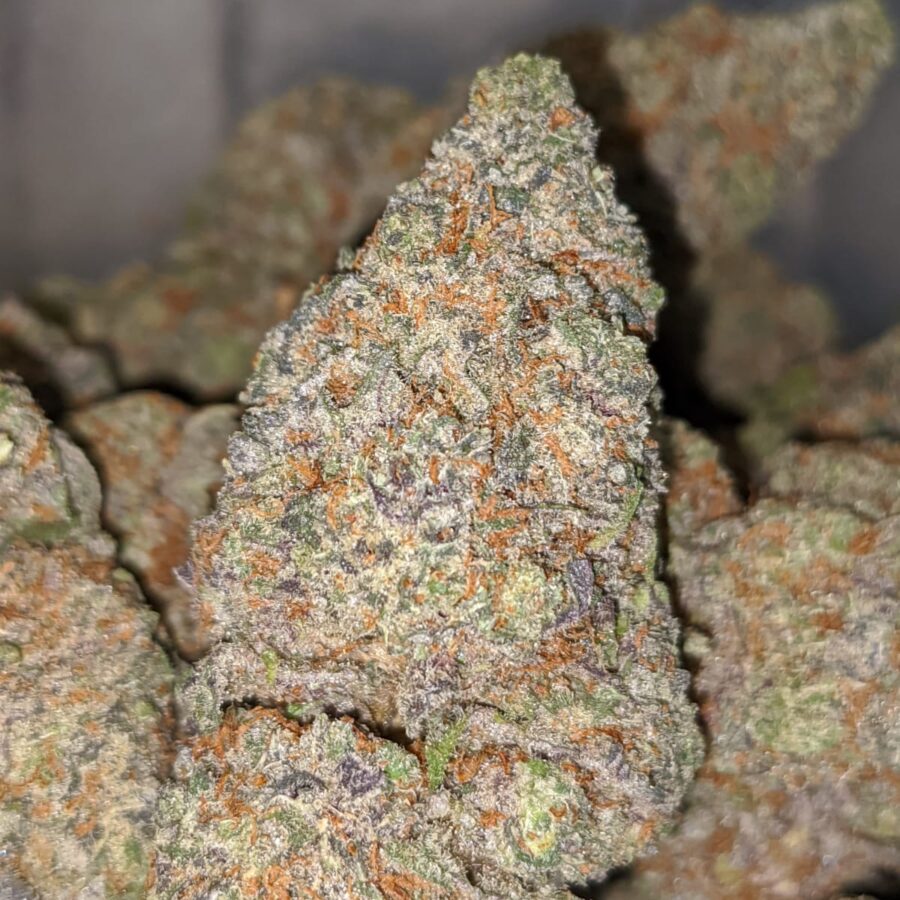 GRAPE CRUSH DOD 1 1 I Grape Crush - *Deal of the Day*