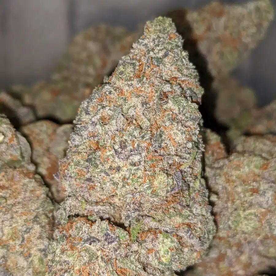 GRAPE CRUSH DOD 1 1 I Grape Crush - *Deal of the Day*