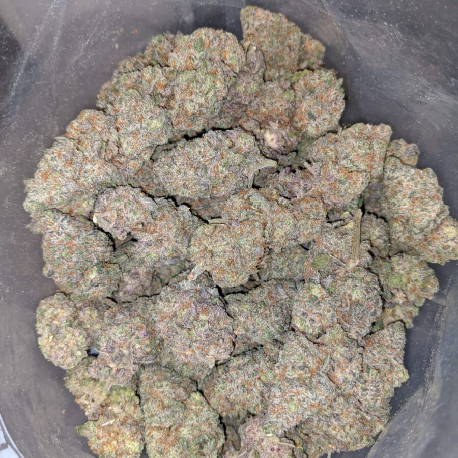 GRAPE CRUSH DOD 4 1 I Grape Crush - *Deal of the Day*