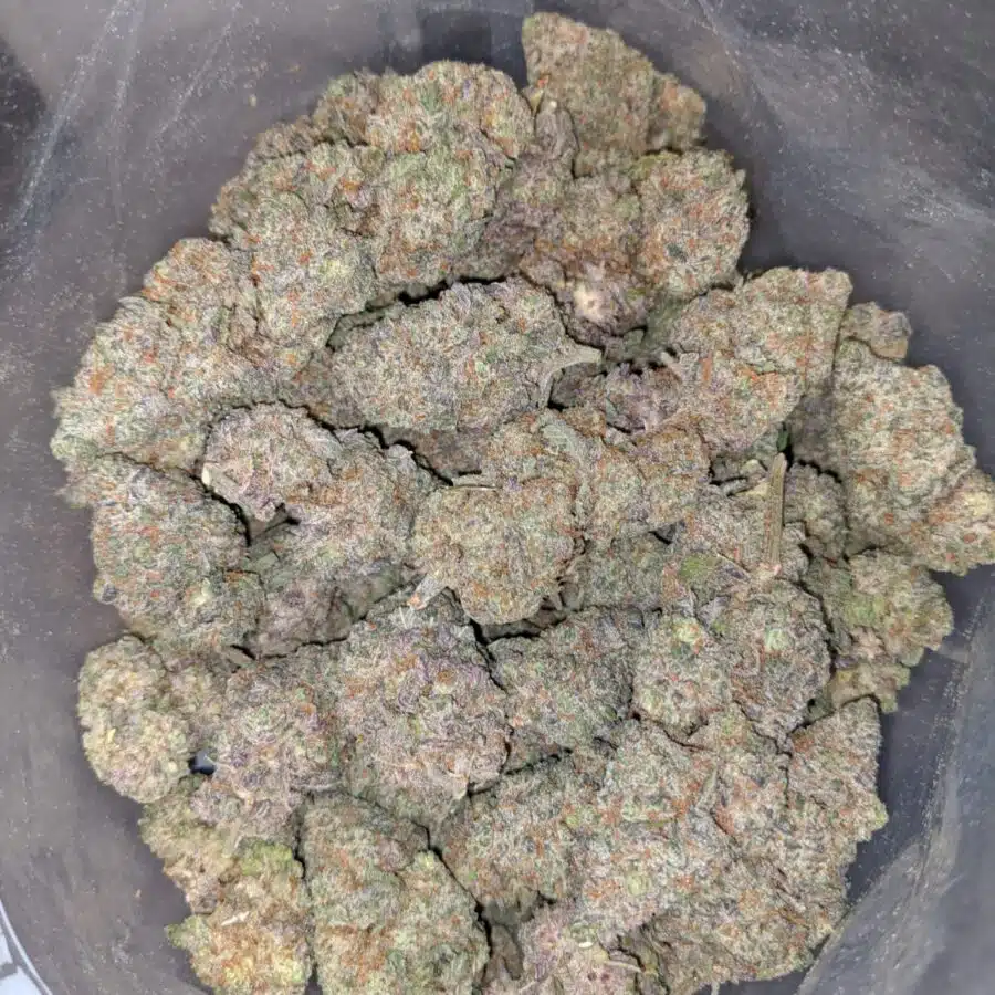 GRAPE CRUSH DOD 4 1 I Grape Crush - *Deal of the Day*