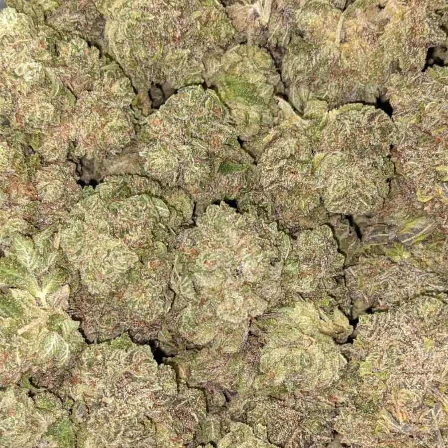 Alternative view of $109 Oz - Grape Stomper