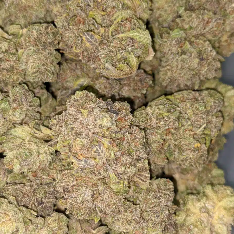 GRAPE STOMPER 2 I $109 Oz - Grape Stomper
