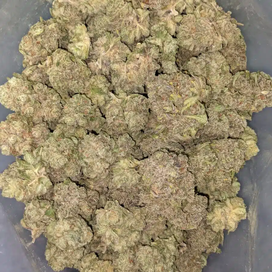 $109 Oz - Grape Stomper