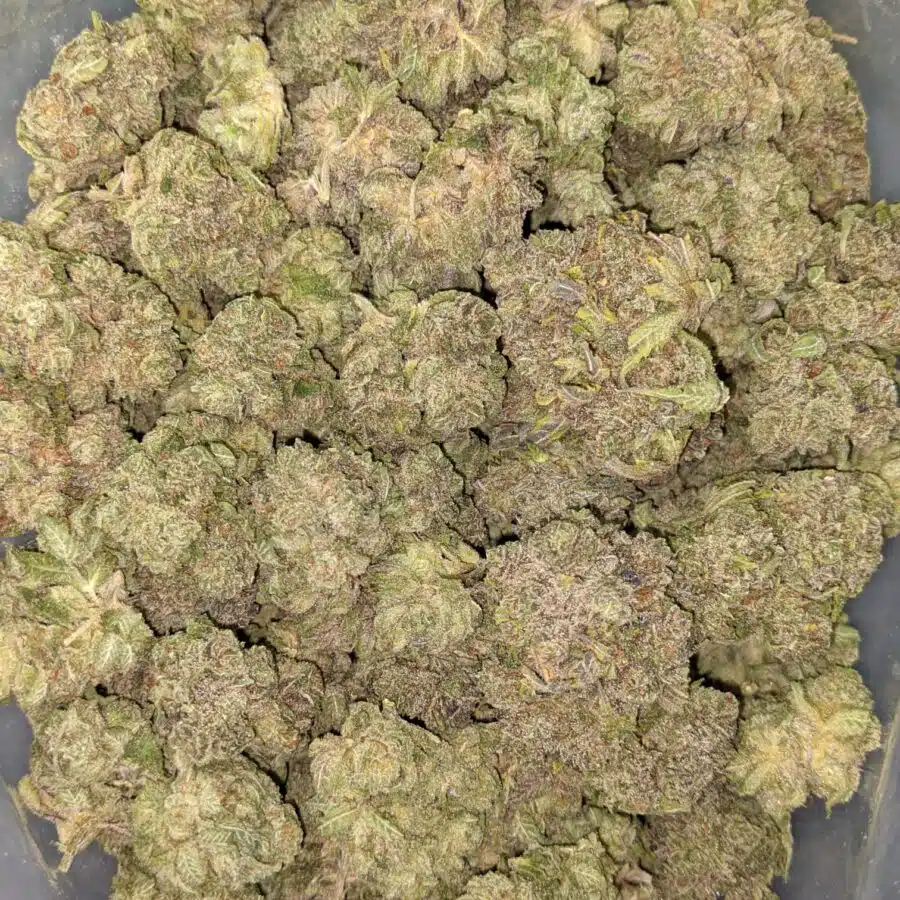 GRAPE STOMPER 4 I $109 Oz - Grape Stomper