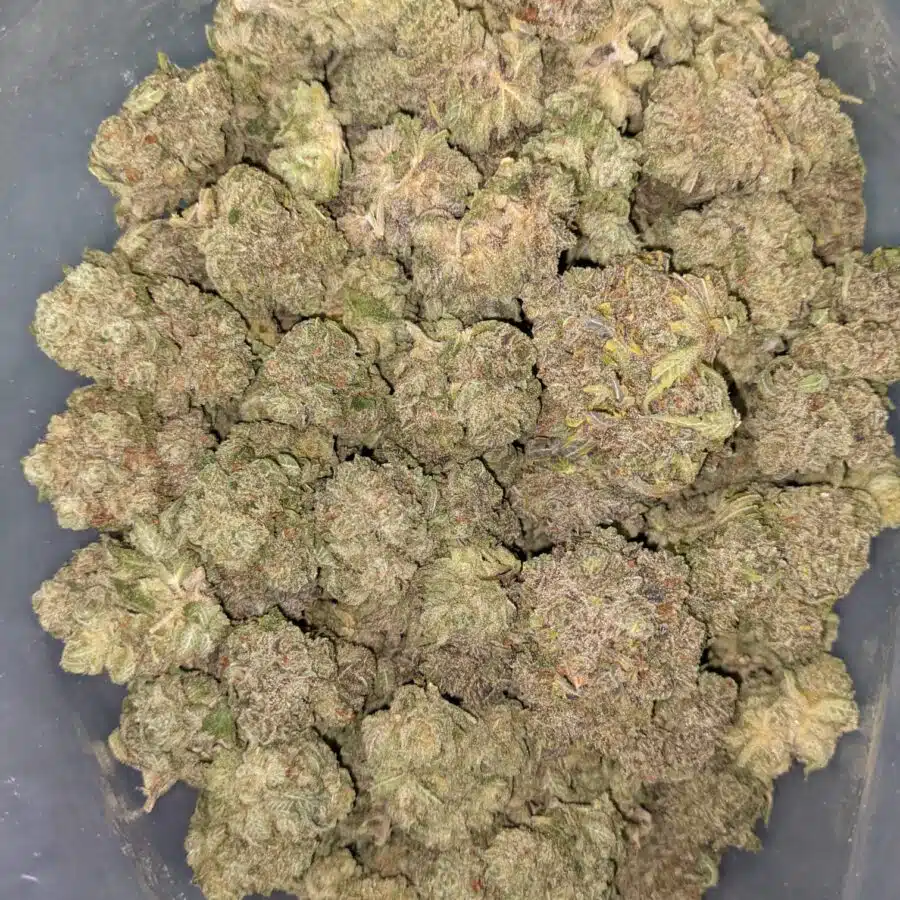 GRAPE STOMPER 5 I $109 Oz - Grape Stomper