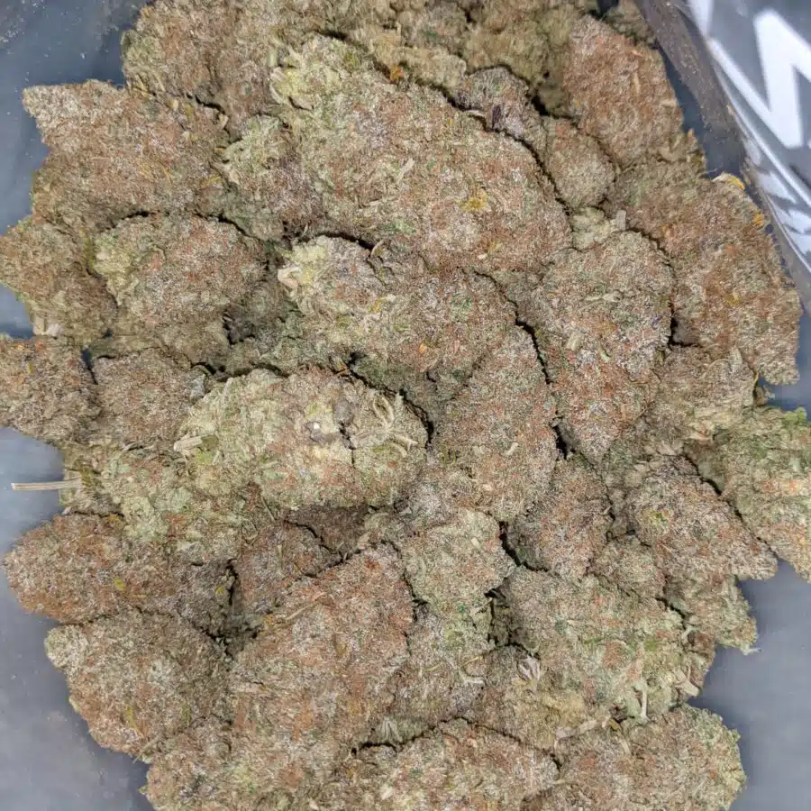$59 Oz - Grapefruit