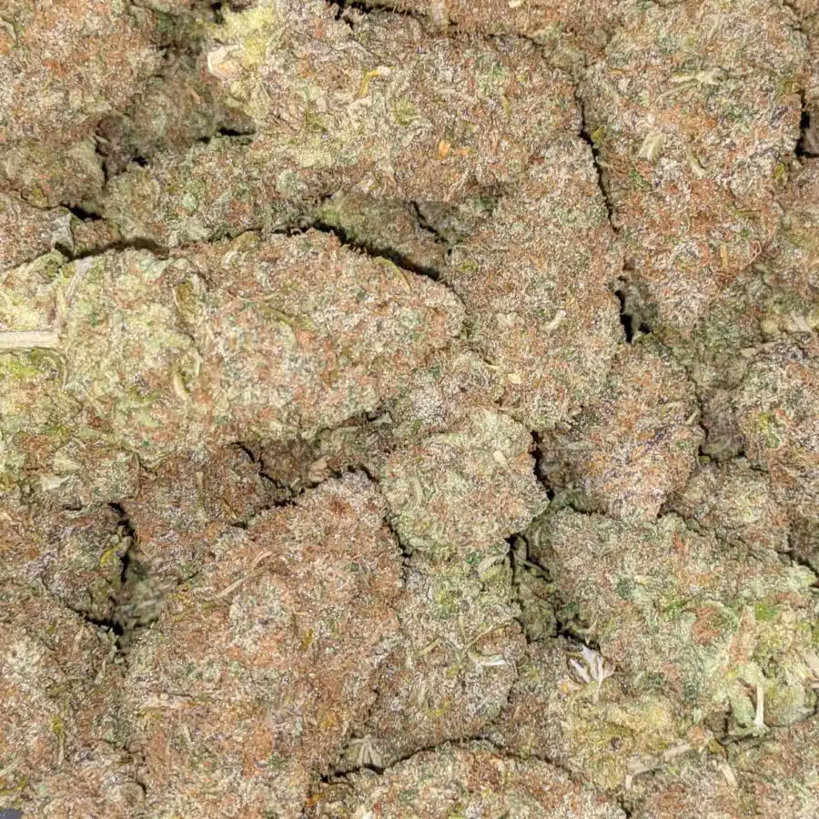 GRAPEFRUIT 5 I $59 Oz - Grapefruit