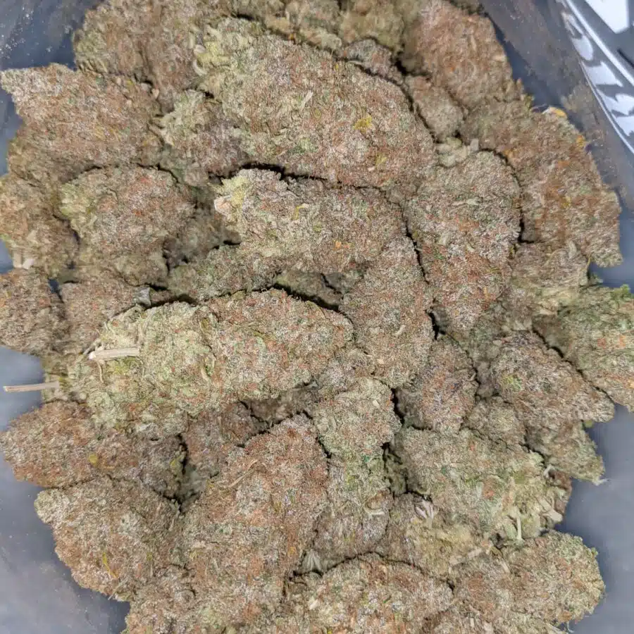 Alternative view of $59 Oz - Grapefruit