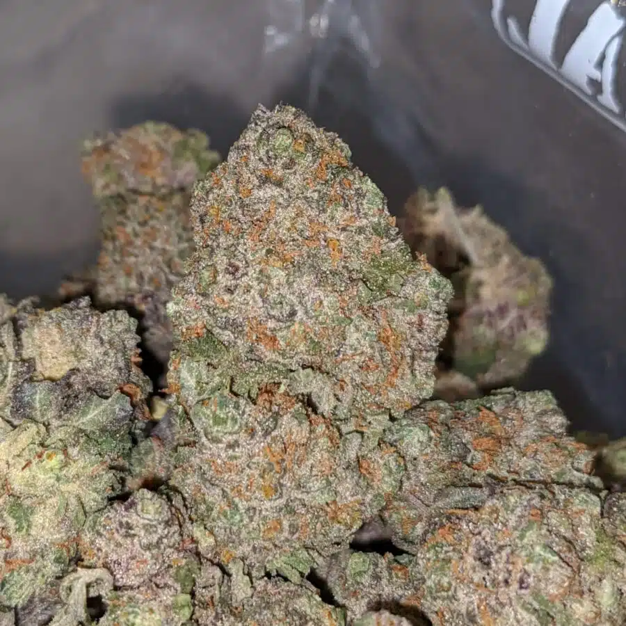 GREASE MONKEY X HIGH OCTANE 1 I $79 Oz - California Dream