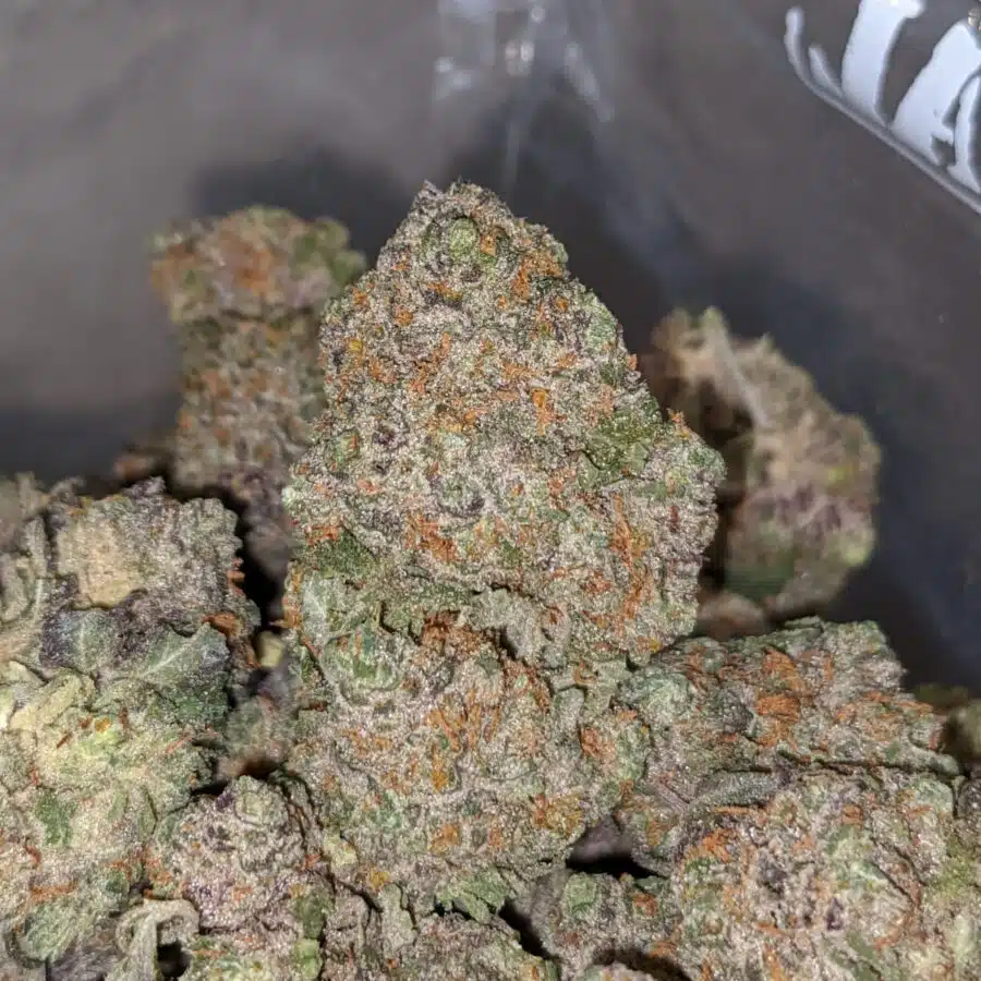 GREASE MONKEY X HIGH OCTANE 2 I $79 Oz - California Dream