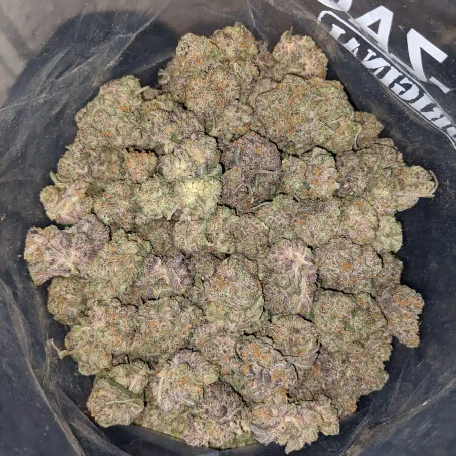 GREASE MONKEY X HIGH OCTANE 3 I $79 Oz - California Dream