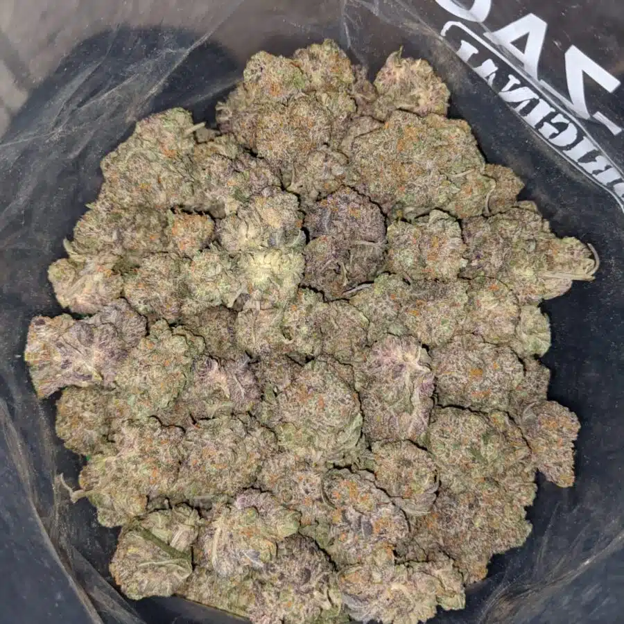 GREASE MONKEY X HIGH OCTANE 4 I $79 Oz - California Dream