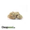 Green Cheese - *Deal of the Day*