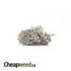 Lychee 26.88% THC