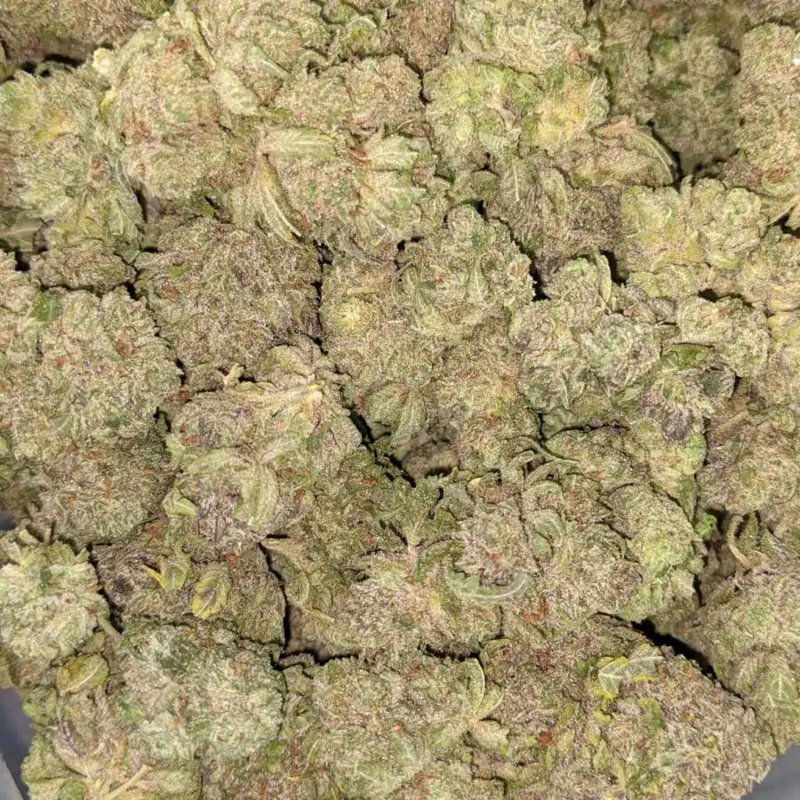 LYCHEE 1 I Lychee 26.88% THC