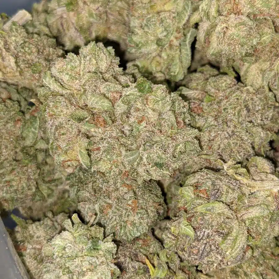 LYCHEE 2 I Lychee 26.88% THC