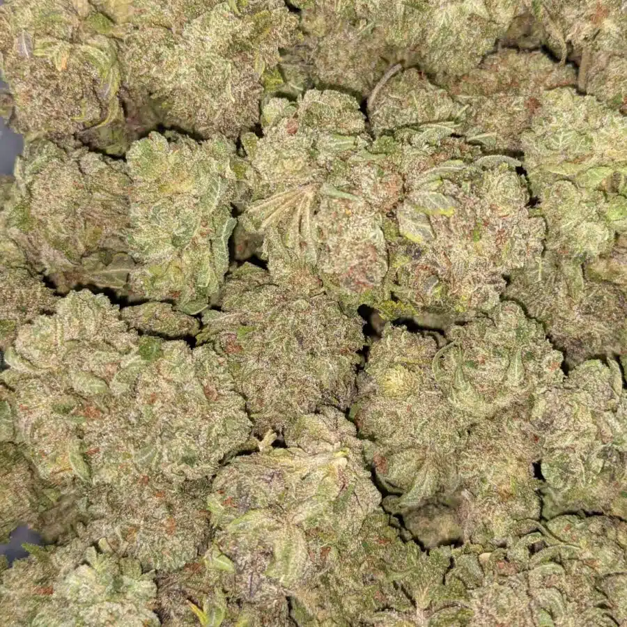 LYCHEE 3 I Lychee 26.88% THC