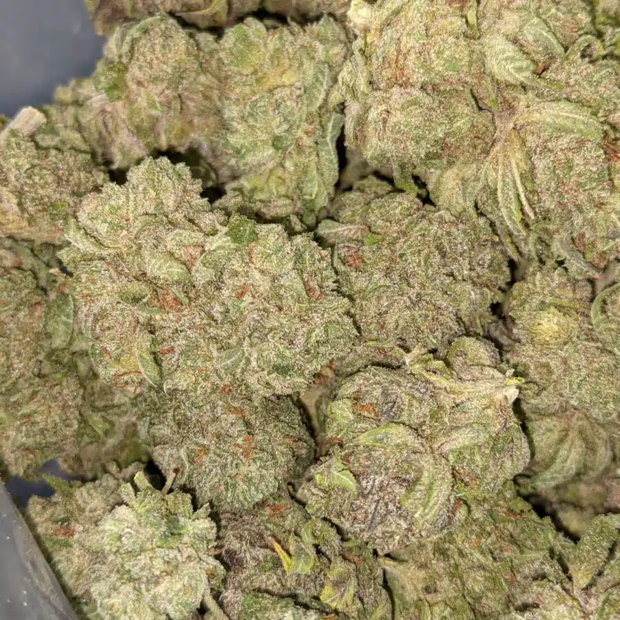 LYCHEE 4 I Lychee 26.88% THC