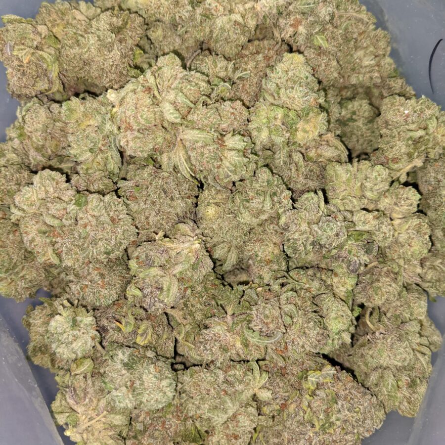 LYCHEE 5 I Lychee 26.88% THC