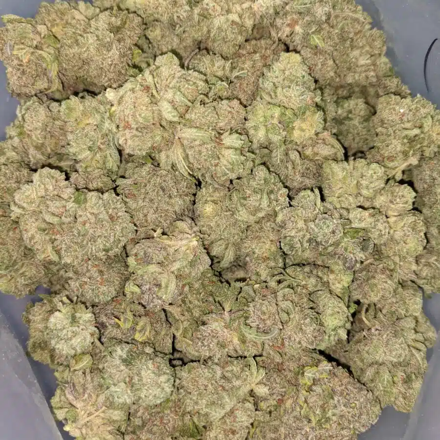 LYCHEE 5 I Lychee 26.88% THC