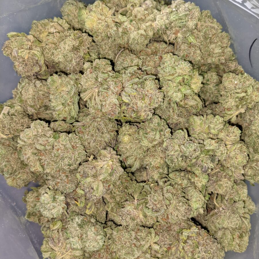 LYCHEE 6 I Lychee 26.88% THC