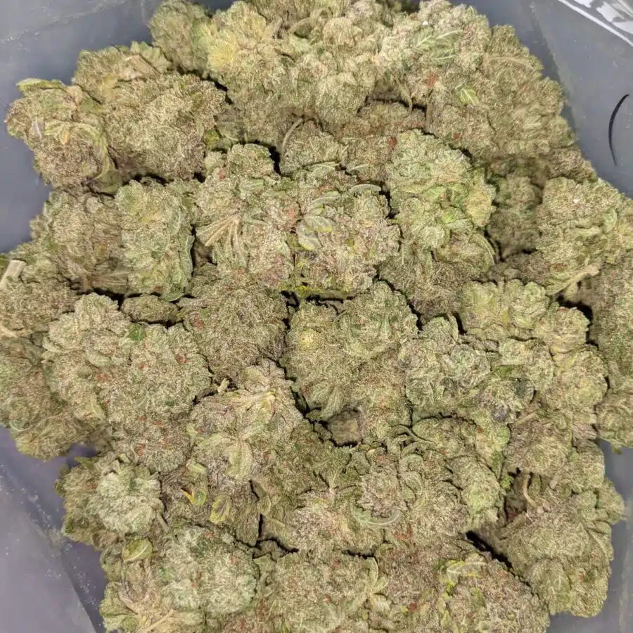 LYCHEE 6 I Lychee 26.88% THC