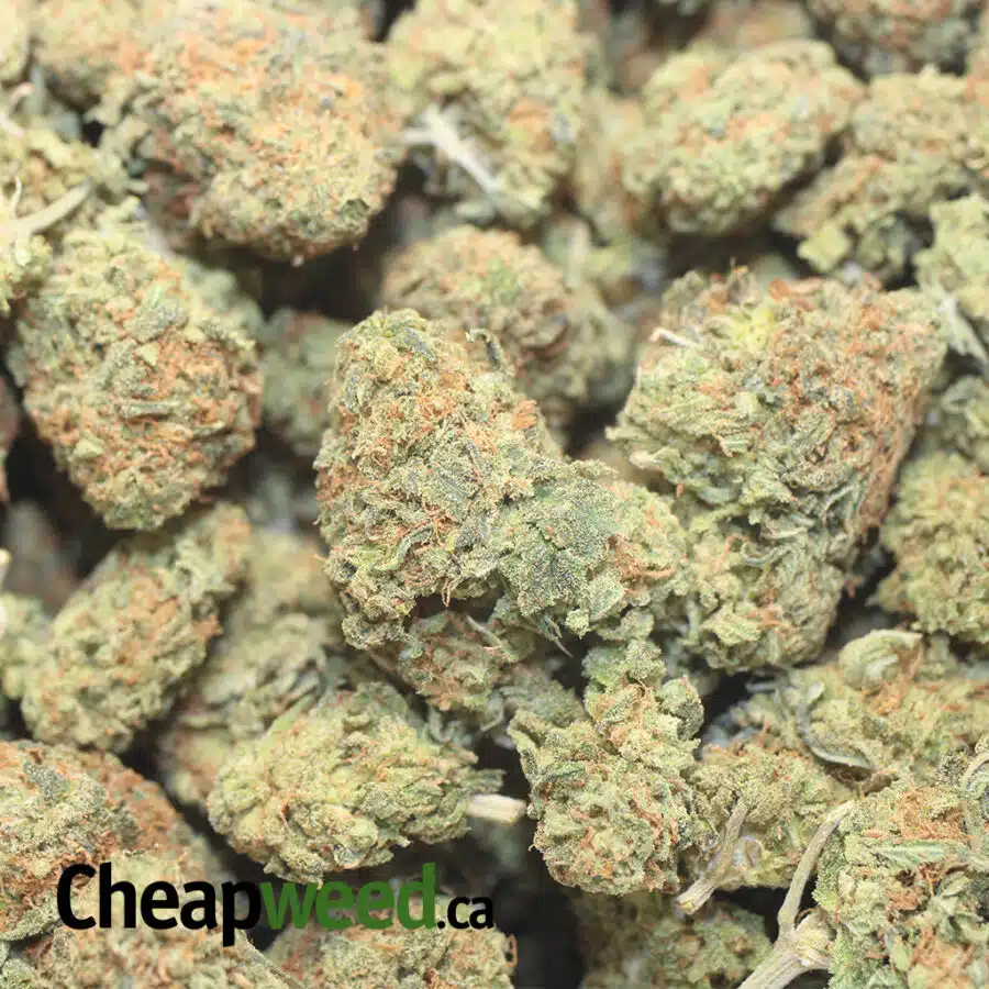 ORANGE COOKIES 1 I $119 Oz - Orange Cookies