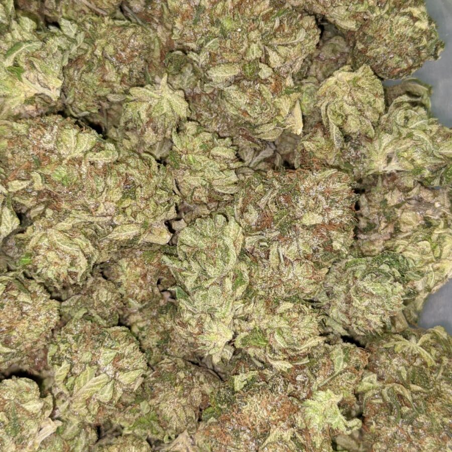 PINK CHAMPAGNE 1 I Pink Champagne