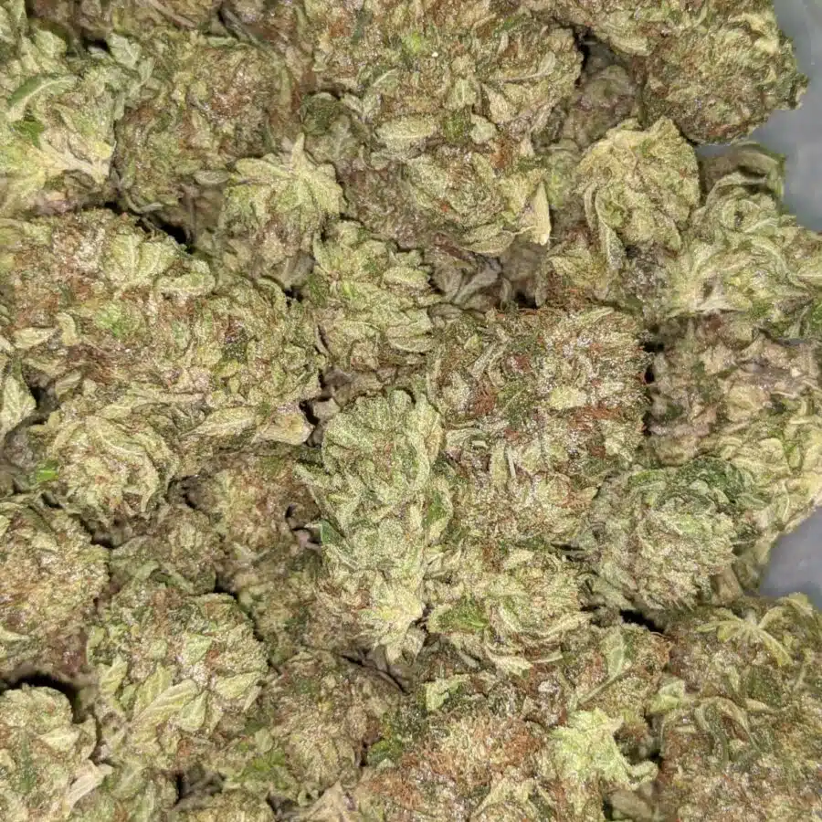 PINK CHAMPAGNE 1 I Pink Champagne