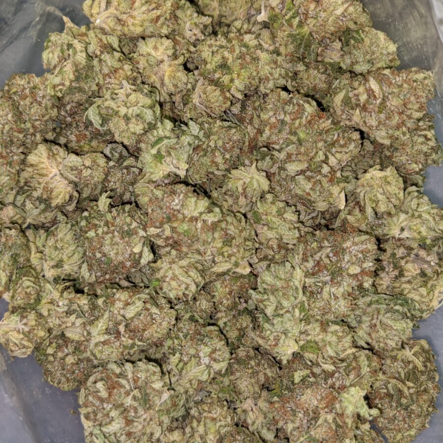 PINK CHAMPAGNE 2 I Pink Champagne