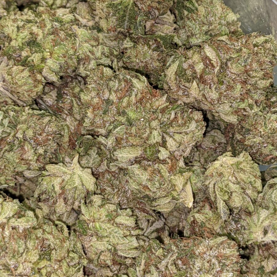 PINK CHAMPAGNE 3 I Pink Champagne