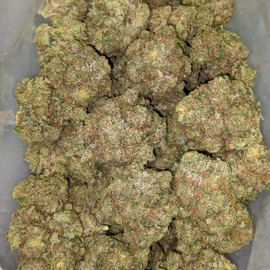 PINK CHEMDAWG 1 I $109 Oz - Pink Chemdawg