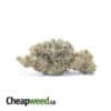 $109 Oz - Pink Chemdawg