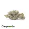 $109 Oz - Pink Chemdawg