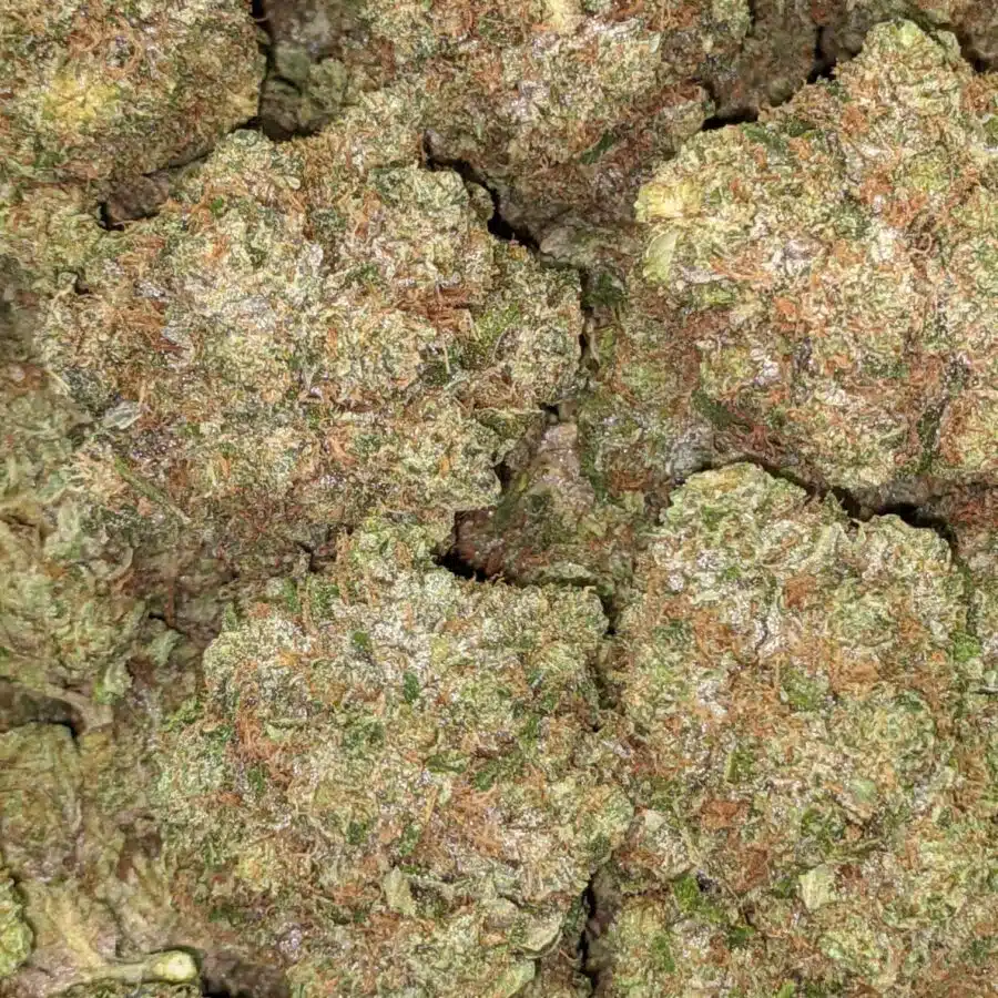 PINK CHEMDAWG 2 I $109 Oz - Pink Chemdawg