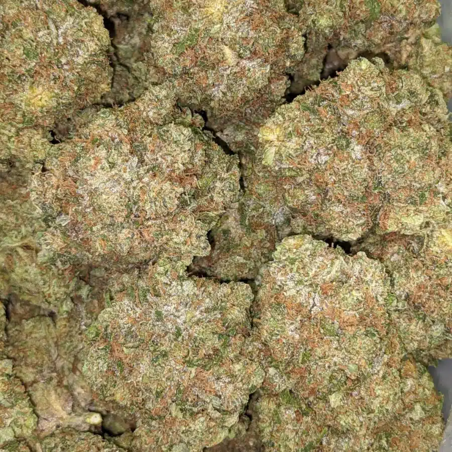PINK CHEMDAWG 3 I $109 Oz - Pink Chemdawg