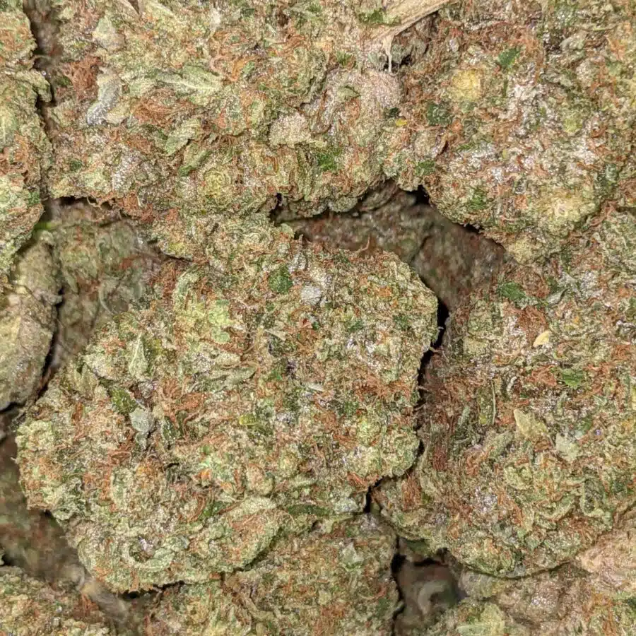 PINK CHEMDAWG 4 I $109 Oz - Pink Chemdawg