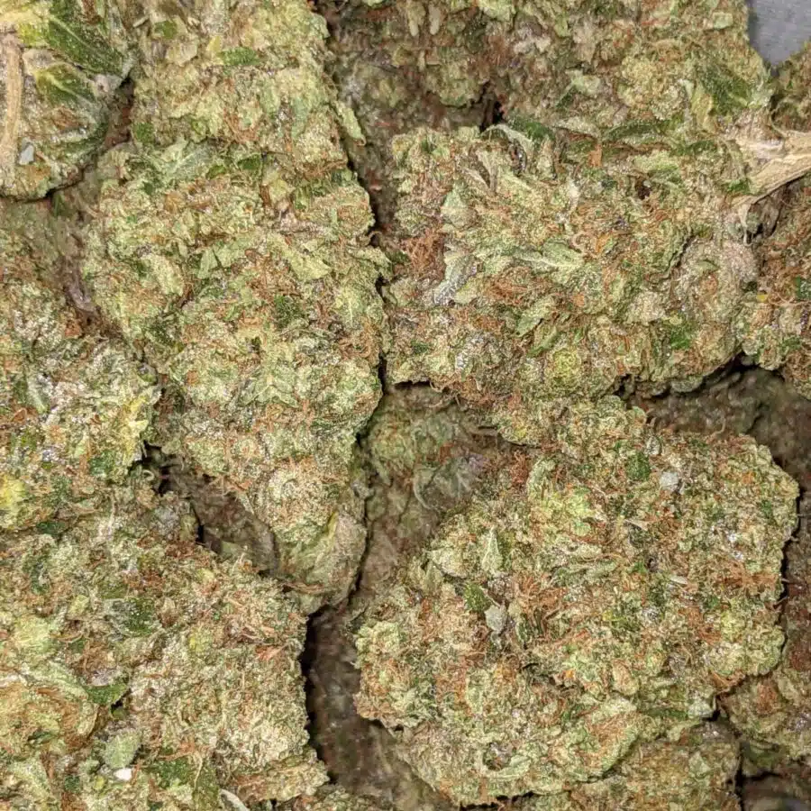 PINK CHEMDAWG 5 I $109 Oz - Pink Chemdawg