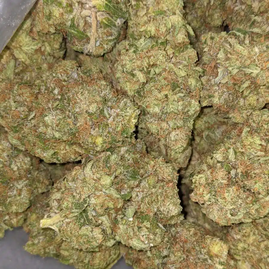 PINK CHEMDAWG 6 I $109 Oz - Pink Chemdawg