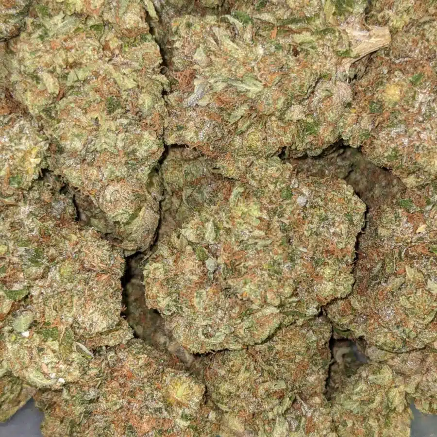 PINK CHEMDAWG 7 I $109 Oz - Pink Chemdawg