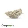 Pure Love - *Deal of the Day*