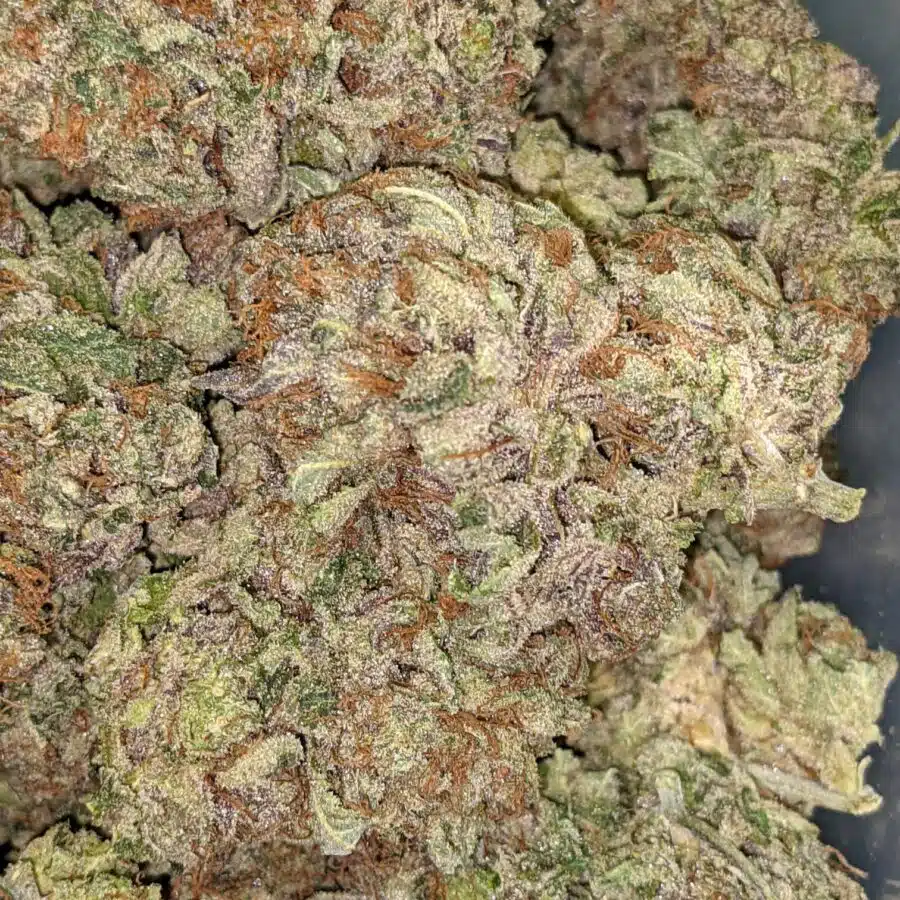 PURPLE JEDI KUSH 1 I $99 Oz - Purple Jedi Kush