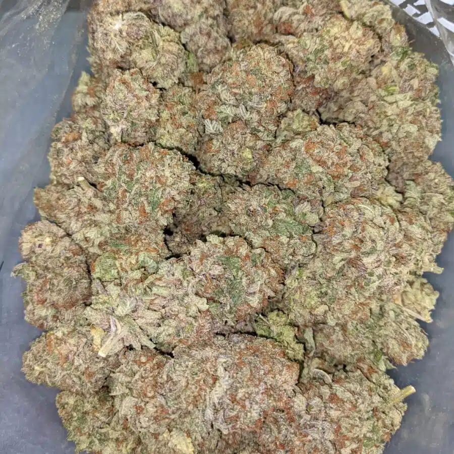 PURPLE JEDI KUSH 2 I $99 Oz - Purple Jedi Kush